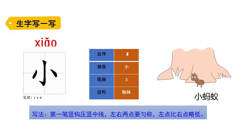 识字7 大小多少课件PPT第6页