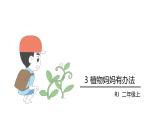3.植物妈妈有办法课件PPT
