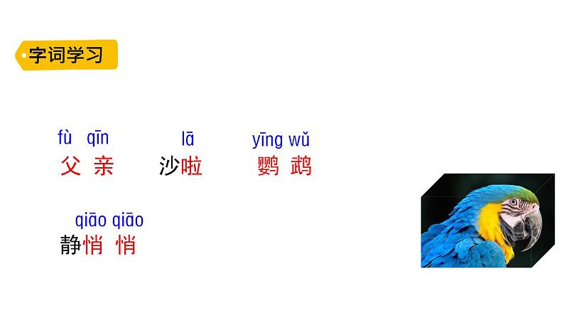 15 搭船的鸟课件PPT08