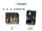 人教部编版语文二年级上册语文 园地八课件PPT