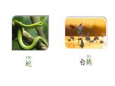人教部编版语文二年级上册语文 园地八课件PPT