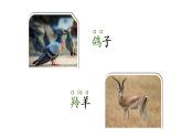 人教部编版语文二年级上册语文 园地八课件PPT
