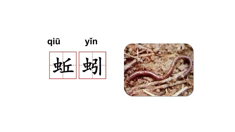 一语下 识字 5《动物儿歌》【课件】第6页