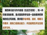 语文四年级上册：第五单元习作生活万花筒课件PPT