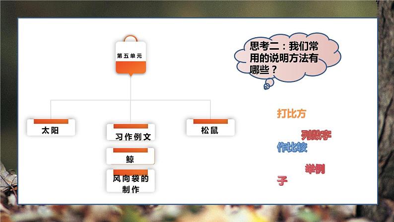 语文五年级上册：第五单元习作·介绍一种事物部编版课件PPT07