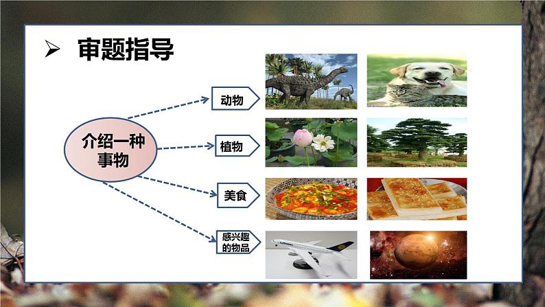 语文五年级上册：第五单元习作·介绍一种事物部编版课件PPT08