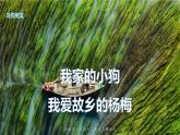 語文三年級上冊：第五單元習(xí)作例文我家的小狗vs我愛故鄉(xiāng)的楊梅部編版課件PPT
