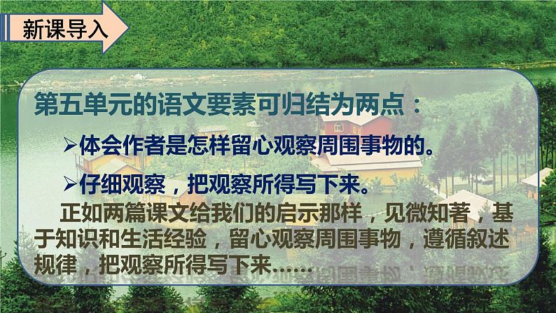 语文三年级上册：第五单元习作例文我家的小狗vs我爱故乡的杨梅部编版课件PPT02