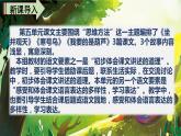 语文二年级上册：语文园地五部编版课件PPT