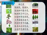 最新人教（部编版）语文二年级上册：识字2·树之歌课件PPT
