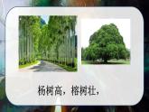 最新人教（部编版）语文二年级上册：识字2·树之歌课件PPT