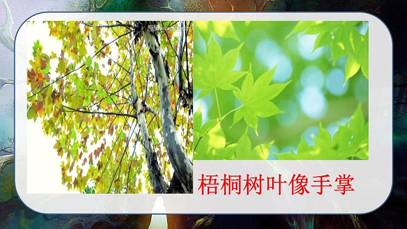 最新人教（部编版）语文二年级上册：识字2·树之歌课件PPT第7页