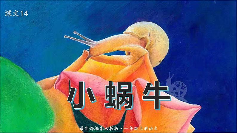 语文一年级上册：课文14.小蜗牛部编版课件PPT第1页