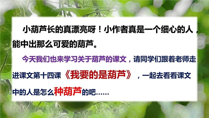 语文二年级上册：14.我要的是葫芦部编版课件PPT第3页