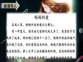 最新人教（部编版）语文二年级上册：3.植物妈妈有办法课件PPT