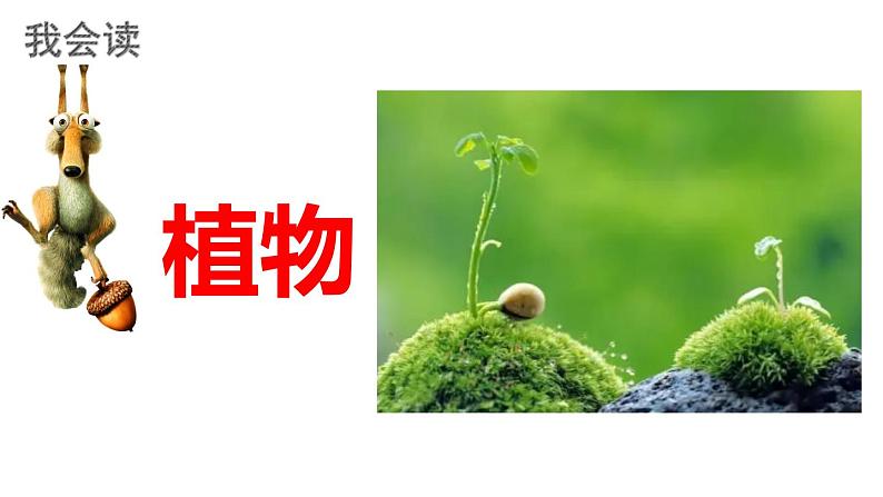 最新人教（部编版）语文二年级上册：3.植物妈妈有办法课件PPT第8页