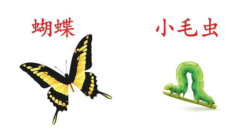 人教部编版二年级语文下册   22.《小毛虫》课件、教案02