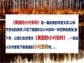 语文三年级上册：20.美丽的小兴安岭部编版课件PPT