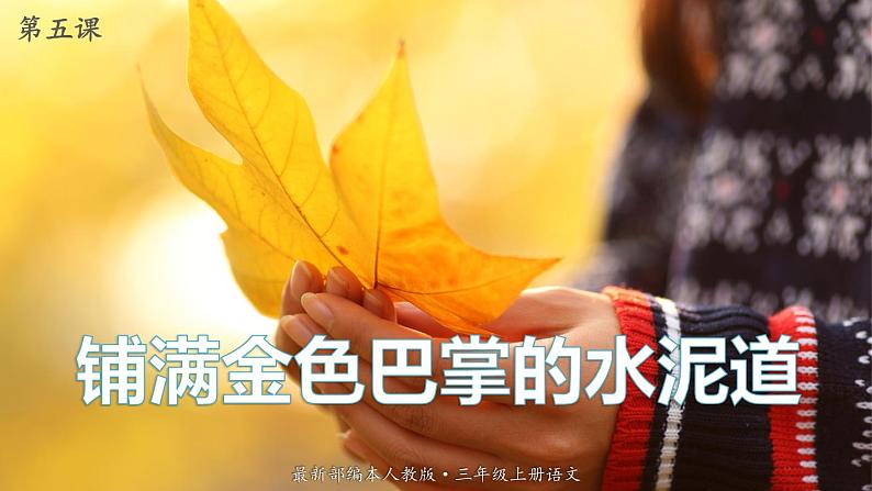 最新人教（部编版）语文三年级上册：5.铺满金色巴掌的水泥道课件PPT第1页