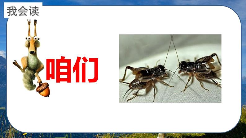 最新人教（部编版）语文三年级上册：10.在牛肚子里旅行课件PPT07