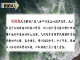 最新人教（部编版）语文四年级上册：1.观潮课件PPT