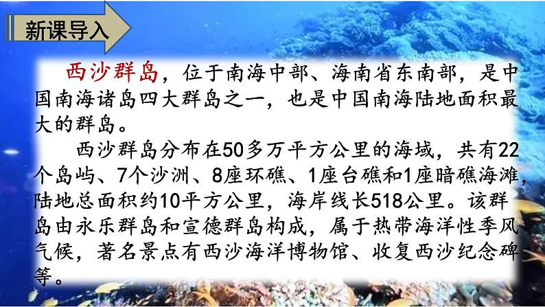 语文三年级上册：18.富饶的西沙群岛部编版课件PPT02