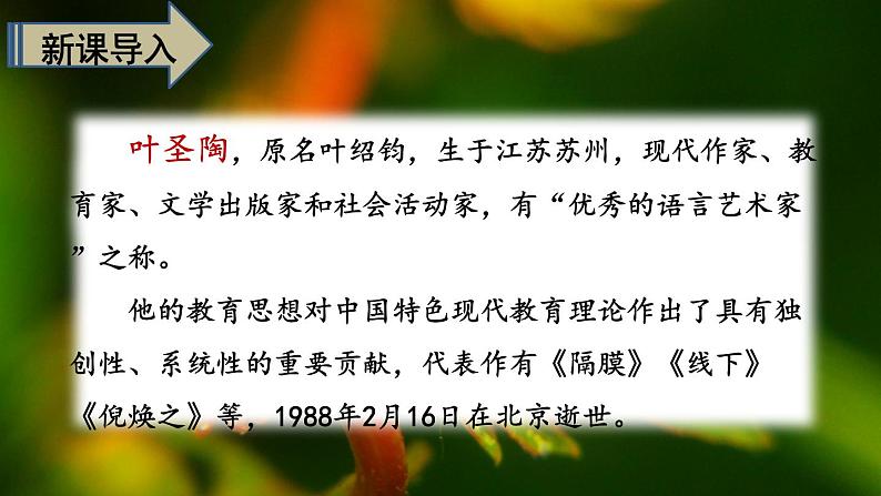 最新人教（部编版）语文四年级上册：10.爬山虎的脚课件PPT02