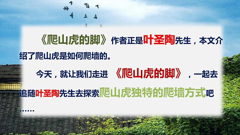 最新人教（部编版）语文四年级上册：10.爬山虎的脚课件PPT03