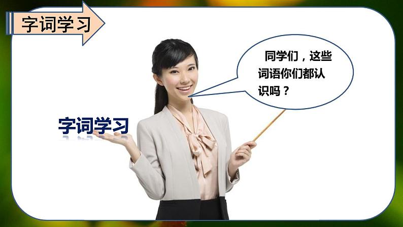 最新人教（部编版）语文四年级上册：10.爬山虎的脚课件PPT05