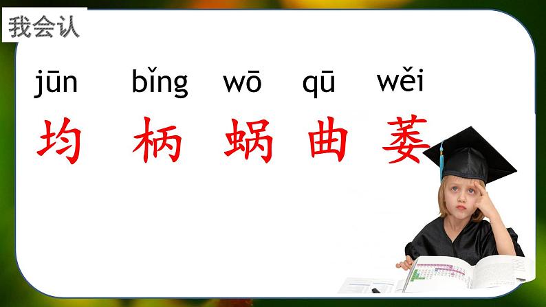 最新人教（部编版）语文四年级上册：10.爬山虎的脚课件PPT06