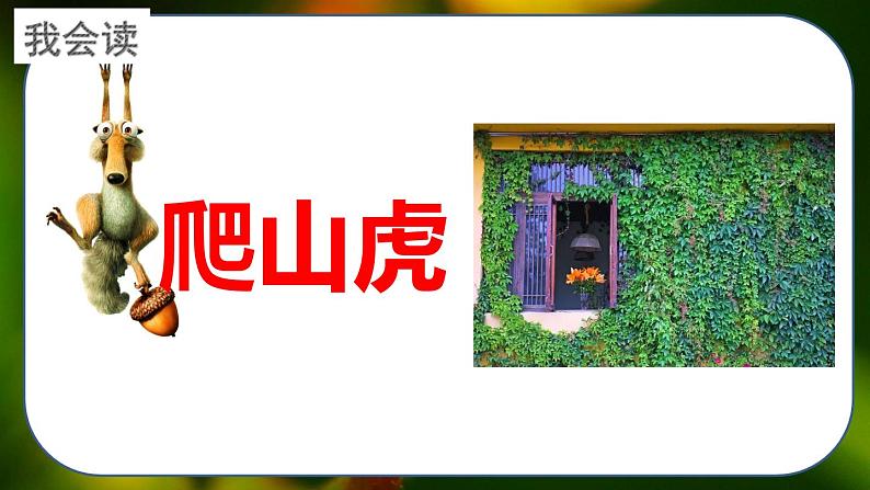 最新人教（部编版）语文四年级上册：10.爬山虎的脚课件PPT07