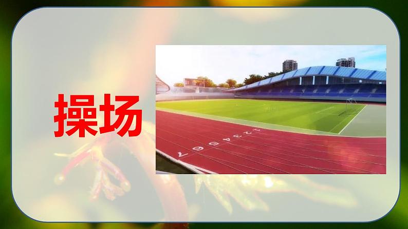 最新人教（部编版）语文四年级上册：10.爬山虎的脚课件PPT08