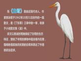 最新人教（部编版）语文五年级上册：1.白鹭课件PPT