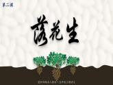 最新人教（部编版）语文五年级上册：2.落花生课件PPT