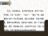 最新人教（部编版）语文五年级上册：2.落花生课件PPT