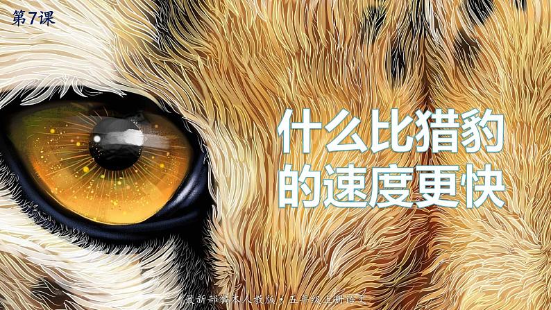 最新人教（部编版）语文五年级上册：7.什么比猎豹的速度更快课件PPT第1页