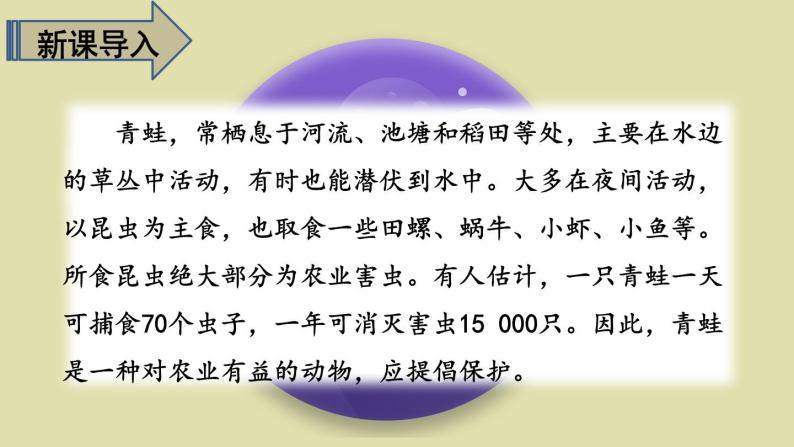 最新人教（部编版）语文五年级上册：7.什么比猎豹的速度更快课件PPT02