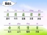 部编版二年级下册语文（课堂教学课件）9 枫树上的喜鹊