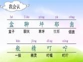 部编版二年级下册语文（课堂教学课件）8 彩色的梦