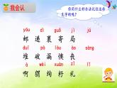 部编版二年级下册语文3 开满鲜花的小路课件PPT
