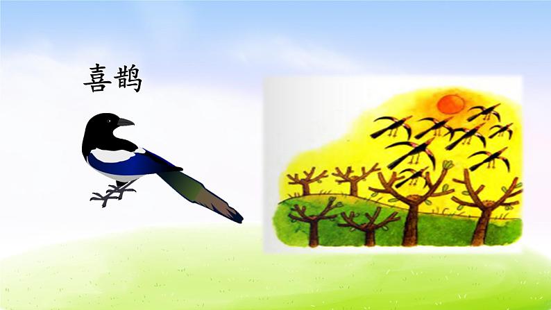 部编版二年级下册语文9 枫树上的喜鹊课件PPT第1页