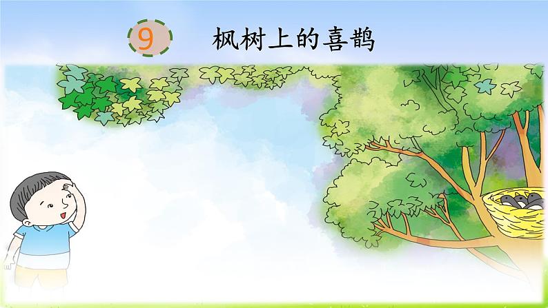 部编版二年级下册语文9 枫树上的喜鹊课件PPT第2页