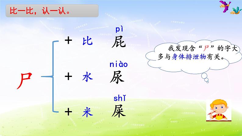 部编版二年级下册语文11 我是一只小虫子课件PPT第7页