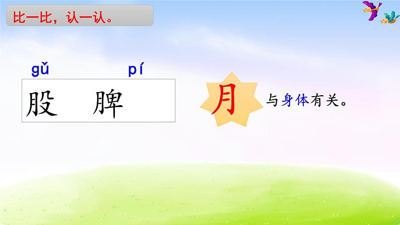 部编版二年级下册语文11 我是一只小虫子课件PPT第8页