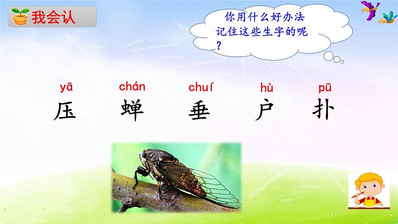 部编版二年级下册语文16 雷雨课件PPT第4页