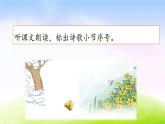 部编版二年级下册语文17 要是你在野外迷了路课件PPT