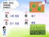 部编版二年级下册语文17 要是你在野外迷了路课件PPT