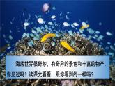 部编版三年级下册j精美优秀课件23 海底世界