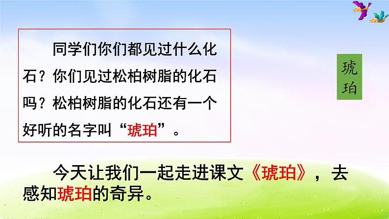 部编版四年级下册语文5  琥珀课件PPT第1页