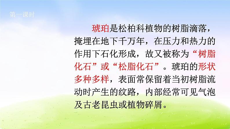 部编版四年级下册语文5  琥珀课件PPT第3页